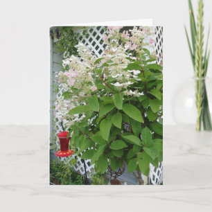Tarjeta Flores En El Alimentador De Trellis Y Hummingbird