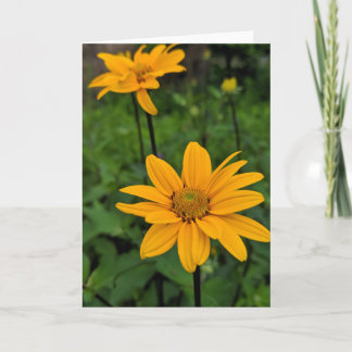 Tarjeta Flores en el jardín