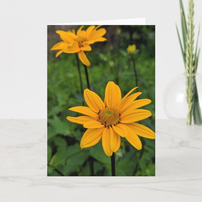 Tarjeta Flores en el jardín (Anverso)