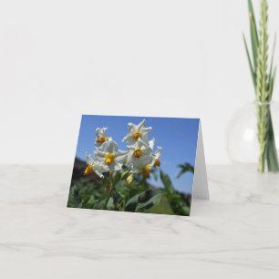 Tarjeta Flores estéticas Solanum tuberosum