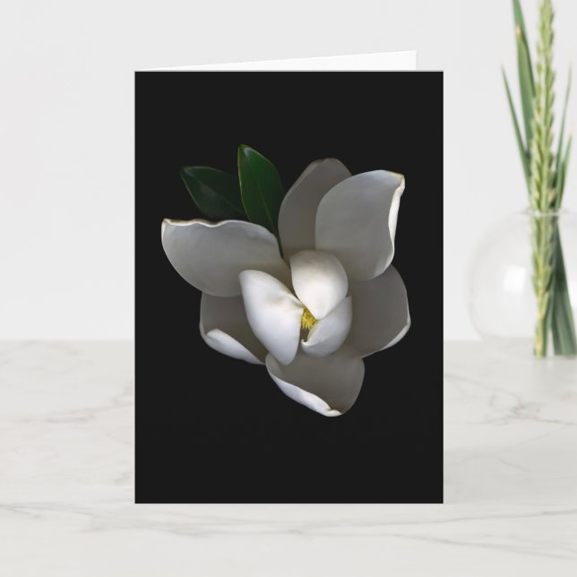 Tarjeta Flores | Flor de magnolia blanca única (Anverso)