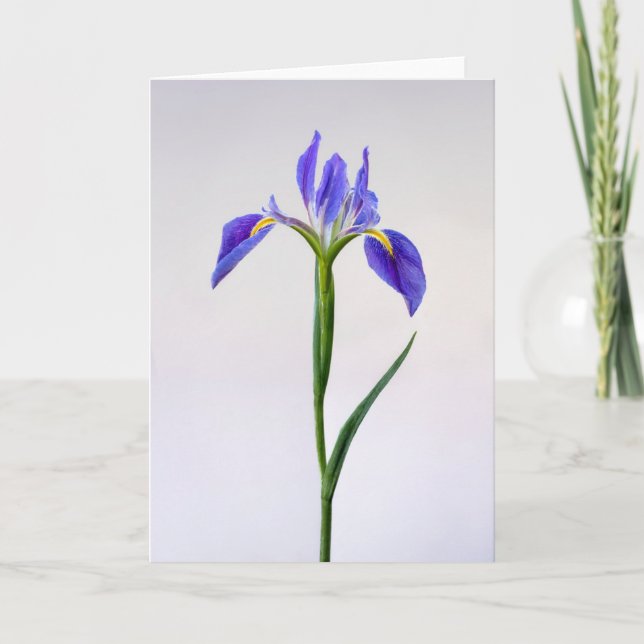 Tarjeta Flores | Flor Iris Púrpura (Anverso)