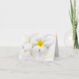 Tarjeta Flores florales del Plumeria del Frangipani blanco