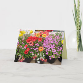 Tarjeta Flores florales Rannunculus Spring Bulbs