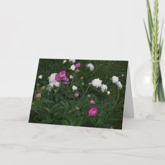 TARJETA FLORES FLORECIENTES