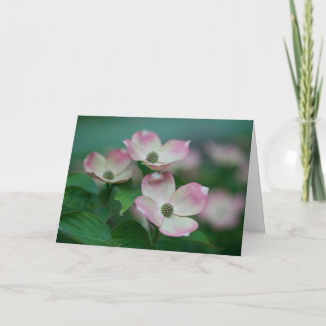 Tarjeta Flores | Flores de dogwood (Anverso)