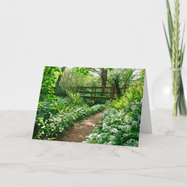Tarjeta Flores | Flores silvestres blancas en el bosque (Anverso)