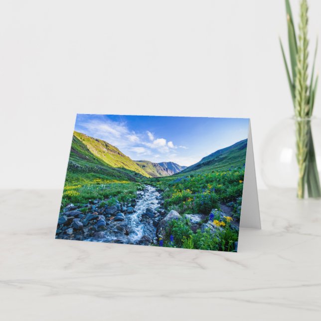 Tarjeta Flores | Flores silvestres en Colorado (Anverso)