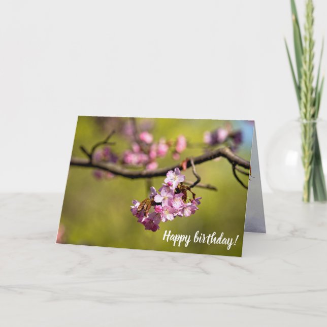 Tarjeta Flores Frescas De Sakura En El Fondo Verde (Anverso)