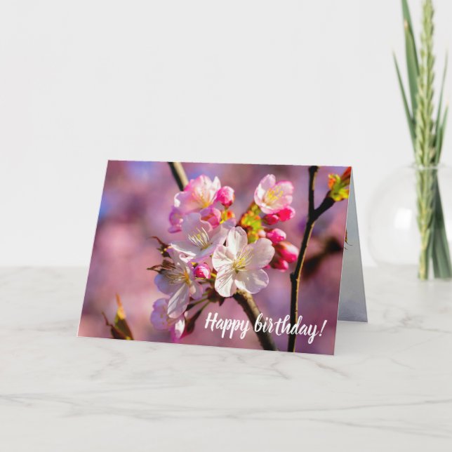 Tarjeta Flores Frescas De Sakura En El Jardín En Primavera (Anverso)