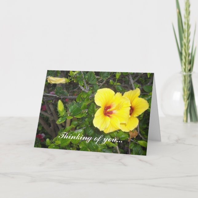Tarjeta Flores Hawaianas (Anverso)