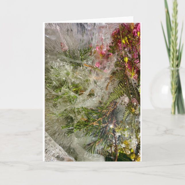 Tarjeta Flores Heladas,  (Anverso)