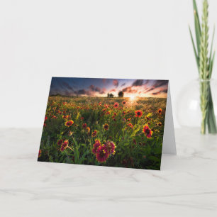 Tarjeta Flores Indio Blanket Wildflower Texas
