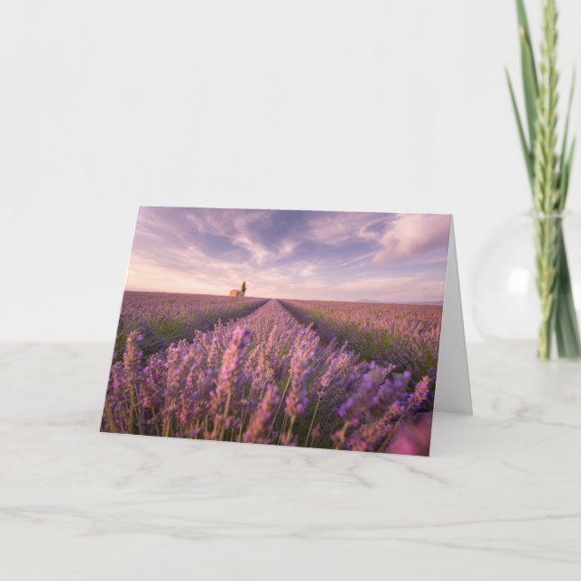 Tarjeta Flores | Lavender Southern France (Anverso)