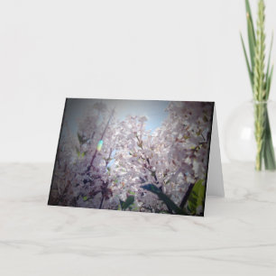 Tarjeta Flores Lilac