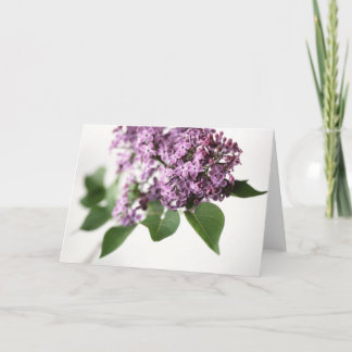 Tarjeta Flores Lilac Fragrancia Springtime Belleza L