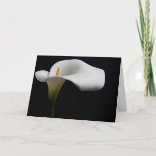 Tarjeta Flores   Lirio de Calla Blanca