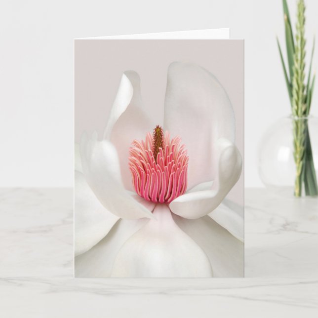 Tarjeta Flores | Magnolia blanca (Anverso)