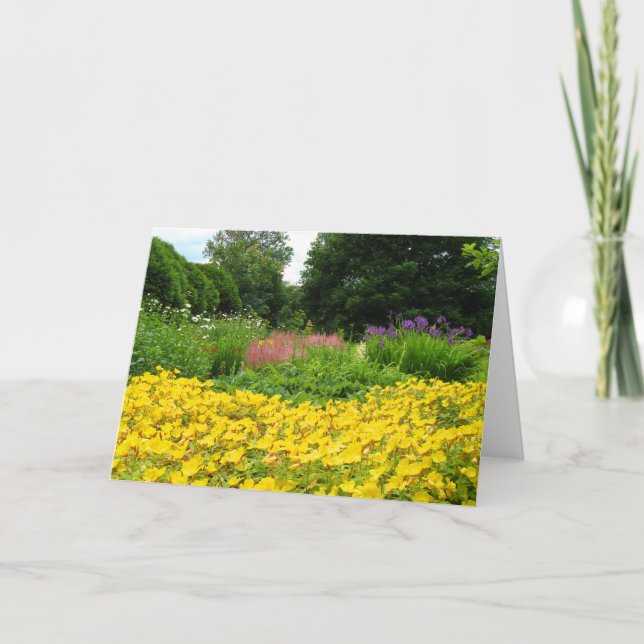 Tarjeta Flores mezcladas del jardín (Anverso)