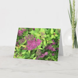 Tarjeta Flores moradas