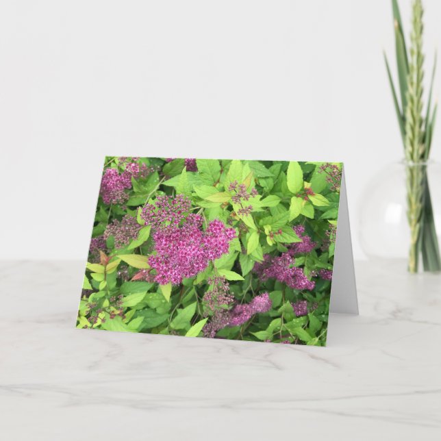 Tarjeta Flores moradas (Anverso)