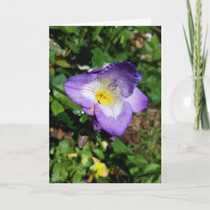 Tarjeta Flores moradas de Freesia