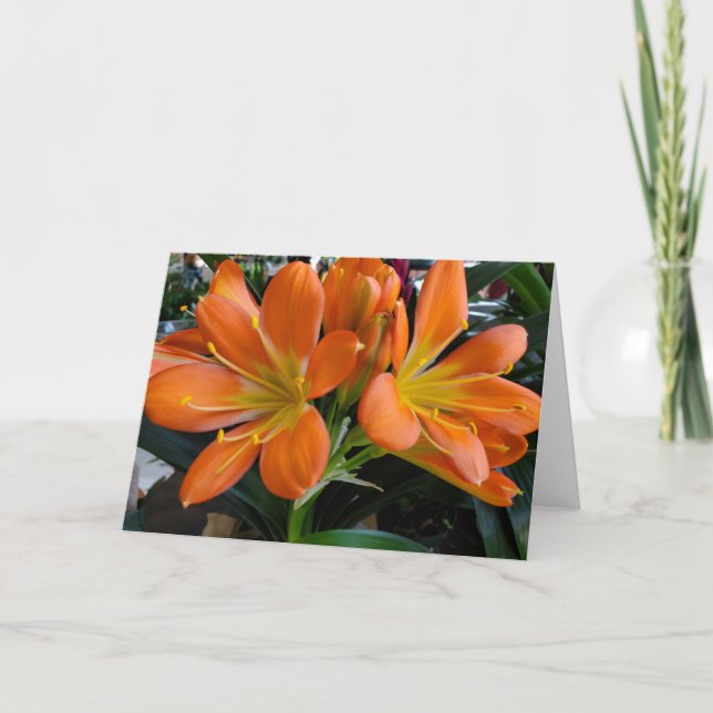 Tarjeta Flores naranjas (Anverso)