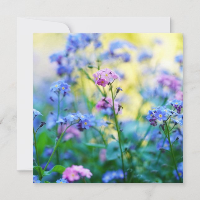 Tarjeta Flores nomeolvides (Anverso)