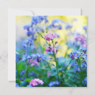 Tarjeta Flores nomeolvides