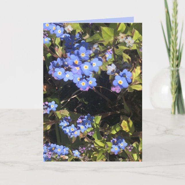 Tarjeta Flores nomeolvides azules (Anverso)