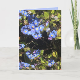 Tarjeta Flores nomeolvides azules