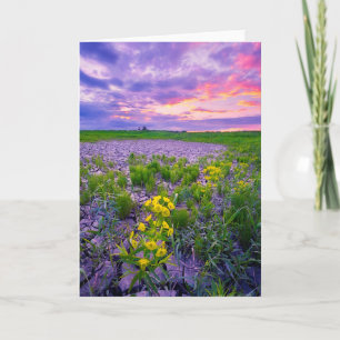 Tarjeta Flores   North Dakota Red River Valley