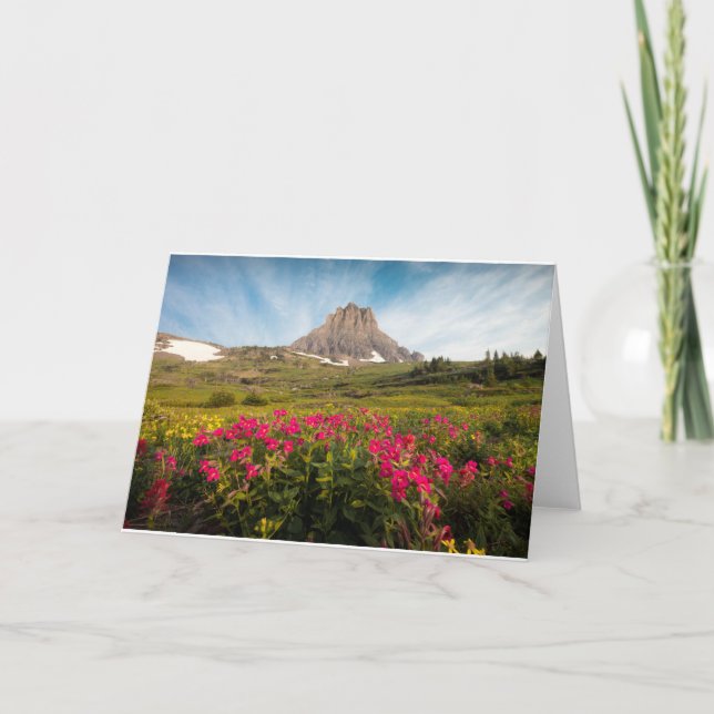 Tarjeta Flores | Parque nacional Glaciar de Montana (Anverso)