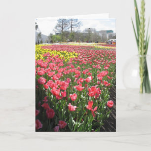 Tarjeta flores, pensando en ti