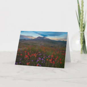 Tarjeta Flores   Pincel indio y penstemon