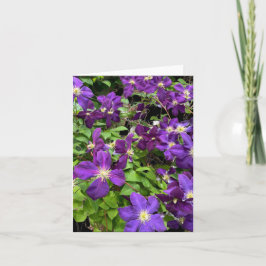 Tarjeta Flores Purple Clematis Y Hojas Fotografía
