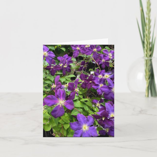 Tarjeta Flores Purple Clematis Y Hojas Fotografía (Anverso)