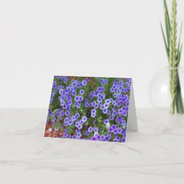 Tarjeta Flores púrpura de Phlox en un agradecimiento