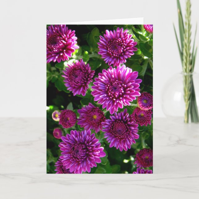 Tarjeta Flores púrpuras (Anverso)