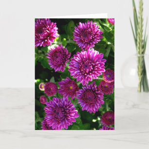 Tarjeta Flores púrpuras