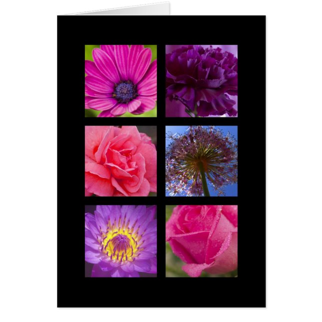 Tarjeta - flores púrpuras rosadas (Frente)