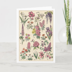 Tarjeta Flores púrpuras vintage