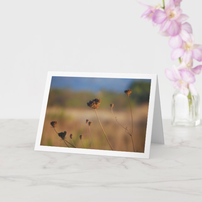 Tarjeta Flores que mueren silvestres en el paisaje de camp (Orquídea)