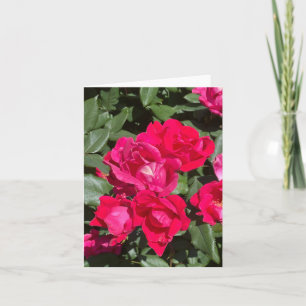 Tarjeta Flores Rojas Y Fotografía De Hojas Verdes