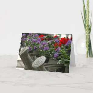 Tarjeta flores rojas y púrpuras en regaderas
