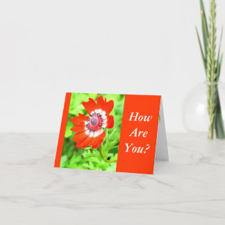 Tarjeta FLORES ROJOS Y BLANCOS/ ¿CÓMO ESTÁS? personalizabl
