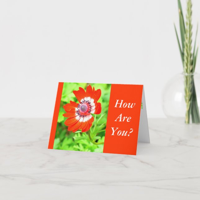 Tarjeta FLORES ROJOS Y BLANCOS/ ¿CÓMO ESTÁS? personalizabl (Anverso)