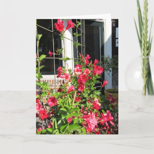 Tarjeta flores rosadas brillantes en bonito. (Anverso)