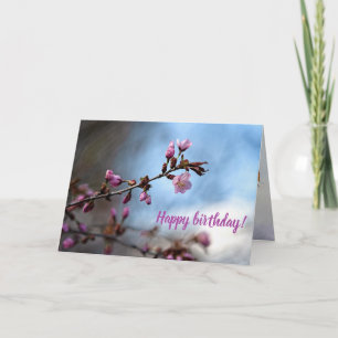 Tarjeta Flores rosadas de Sakura, cielo azul, nube blanca