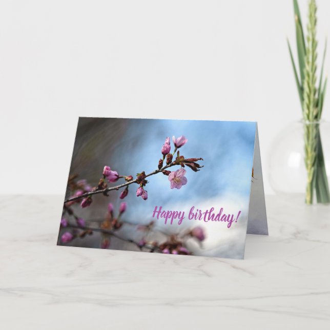 Tarjeta Flores rosadas de Sakura, cielo azul, nube blanca (Anverso)